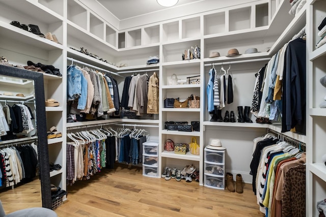 walk in closet with wood-type flooring