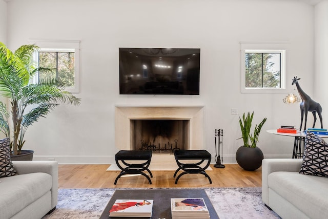 living room with hardwood / wood-style flooring, a premium fireplace, and a healthy amount of sunlight