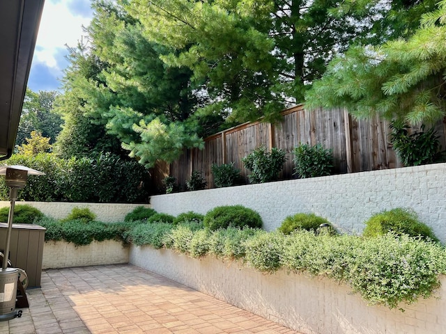 view of yard featuring a patio