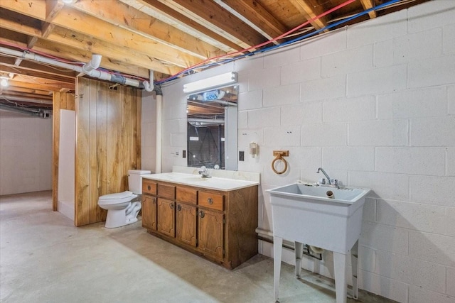 basement featuring sink