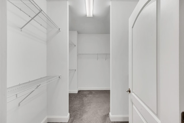 walk in closet featuring carpet flooring