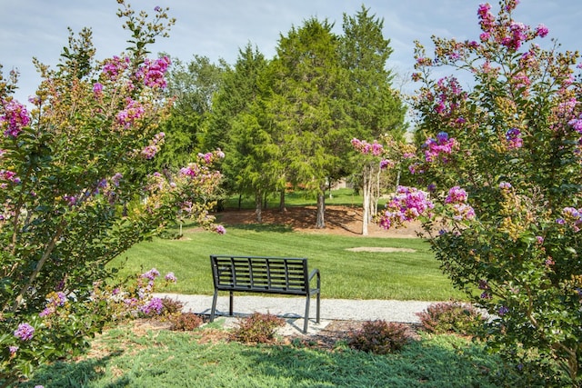 view of community with a lawn