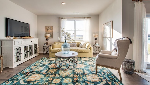 living room with dark wood-type flooring