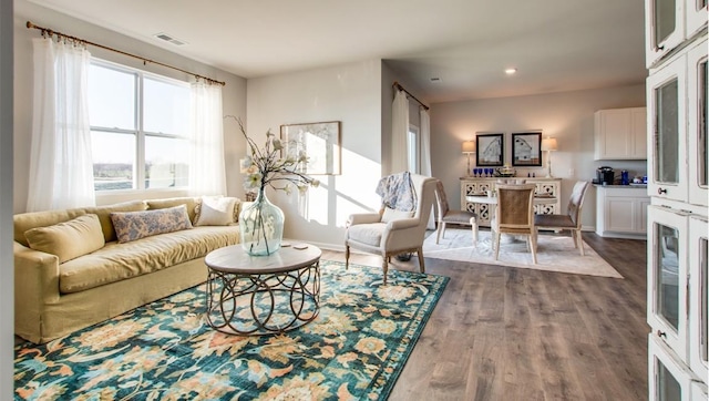 living room featuring dark hardwood / wood-style floors