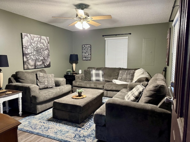 living room with hardwood / wood-style flooring, a textured ceiling, and ceiling fan