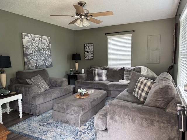 living room featuring a ceiling fan, wood finished floors, and a textured ceiling