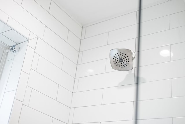 interior details featuring walk in shower