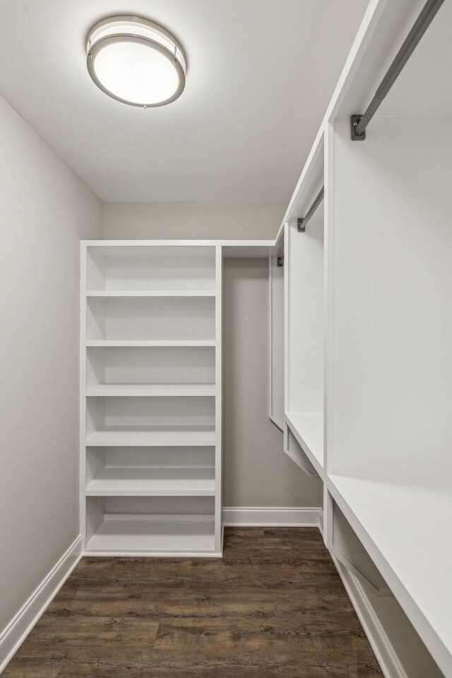 spacious closet with dark wood-type flooring