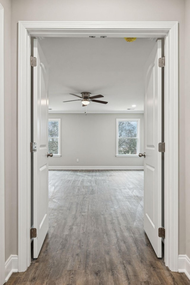 interior space featuring ceiling fan, dark wood-type flooring, and a healthy amount of sunlight