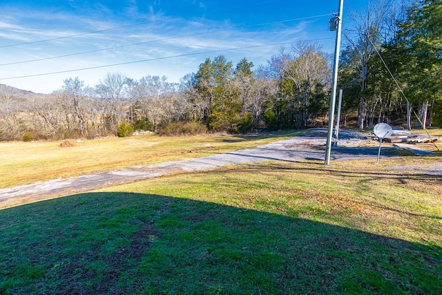 view of yard