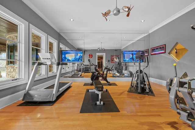 exercise room with crown molding and light hardwood / wood-style flooring