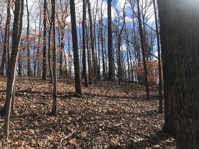 8 Rocky Top, Sparta TN, 38583 land for sale