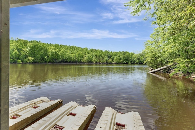 view of dock with a water view