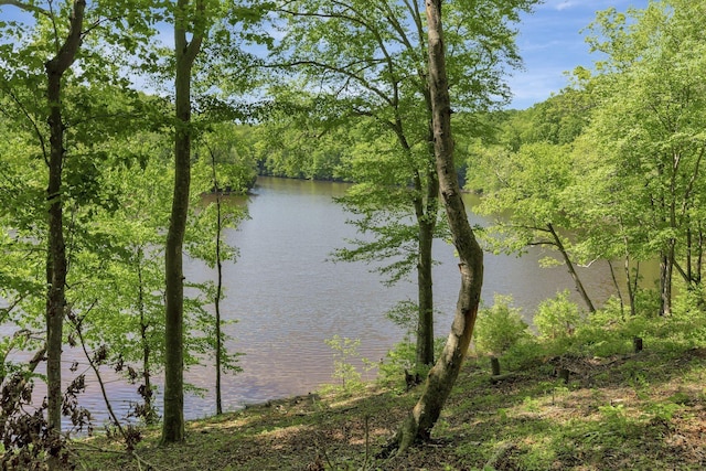 water view