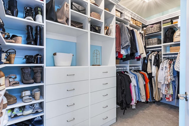 spacious closet featuring carpet