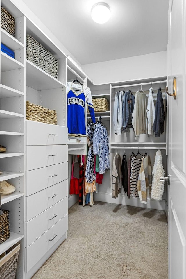 walk in closet featuring carpet floors