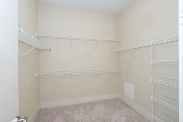 walk in closet with light colored carpet