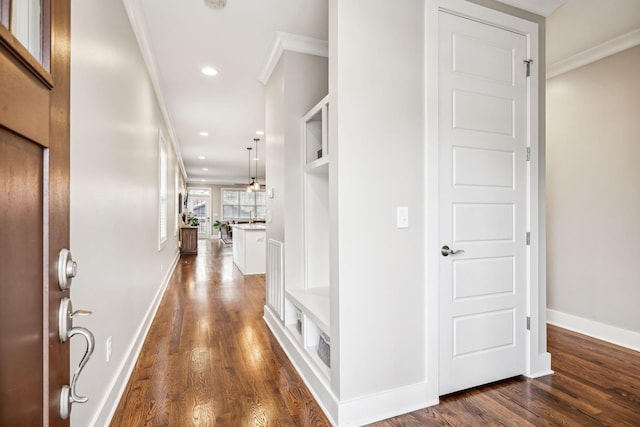 hall with crown molding and dark hardwood / wood-style flooring