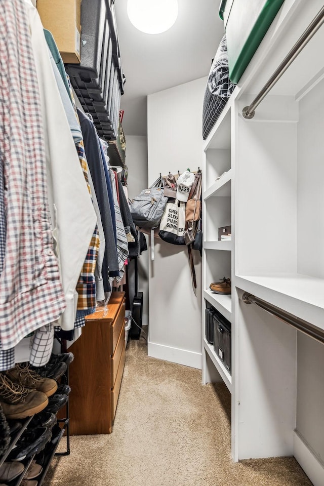 view of spacious closet