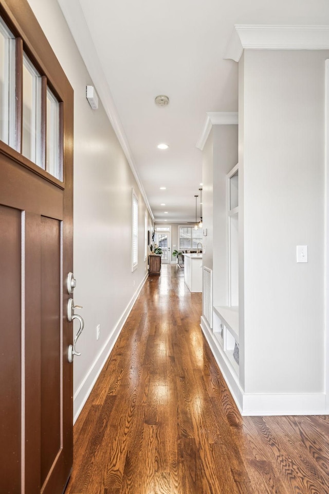 foyer featuring dark wood-type flooring and ornamental molding