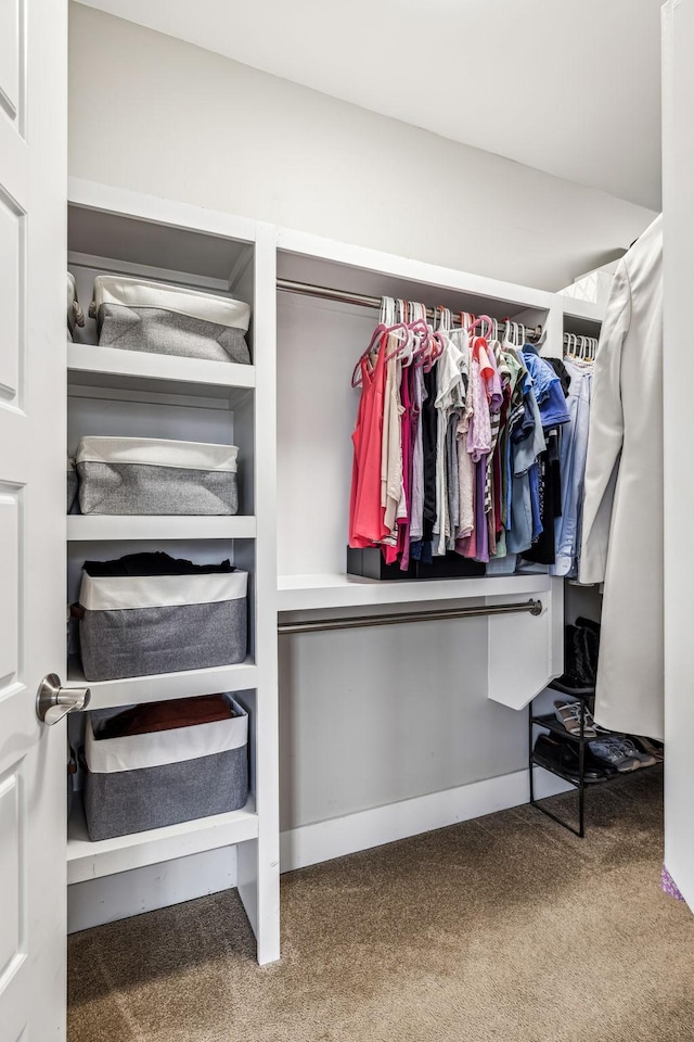 walk in closet with carpet