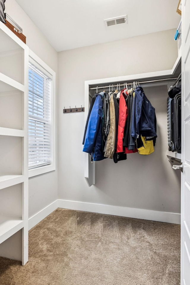 spacious closet featuring carpet floors