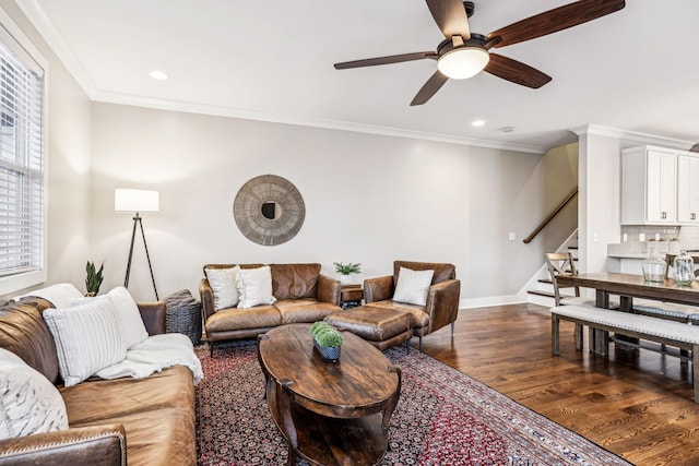 living room featuring crown molding, dark wood-type flooring, and ceiling fan