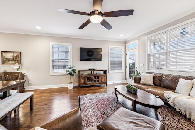 living room featuring ceiling fan, ornamental molding, and dark hardwood / wood-style floors