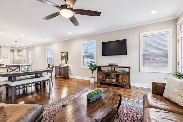 living room featuring crown molding, dark wood-type flooring, and ceiling fan