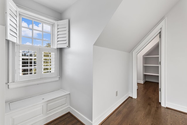 interior space with dark hardwood / wood-style flooring