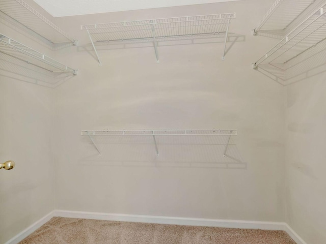 spacious closet with carpet floors