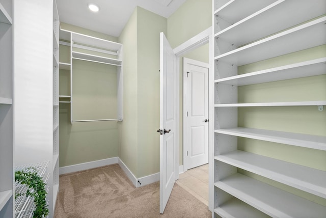 walk in closet with light colored carpet