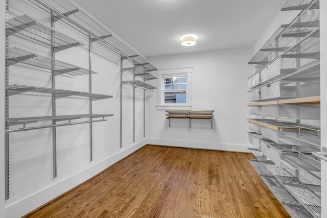 walk in closet with wood-type flooring