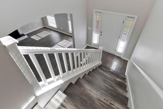 stairs with hardwood / wood-style flooring