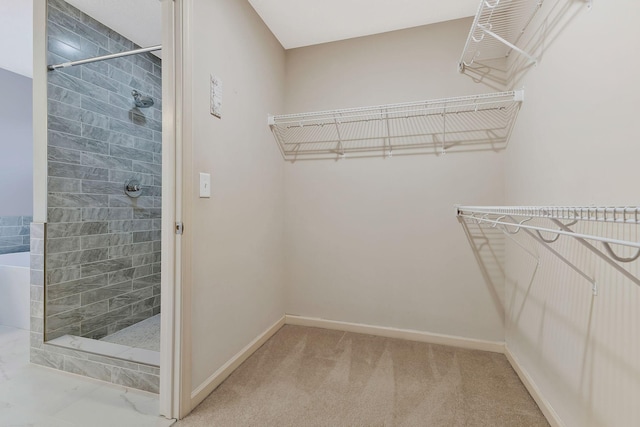 walk in closet featuring carpet floors