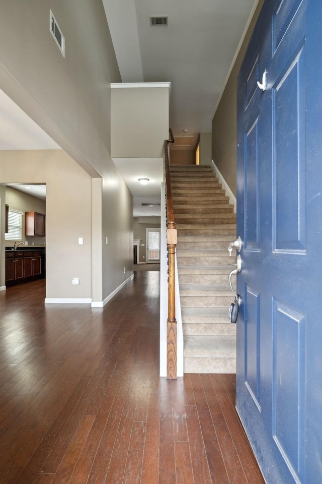 foyer entrance featuring sink and dark wood-type flooring