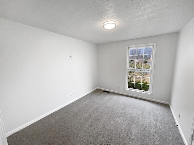 spare room with carpet and a textured ceiling