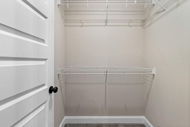 view of walk in closet