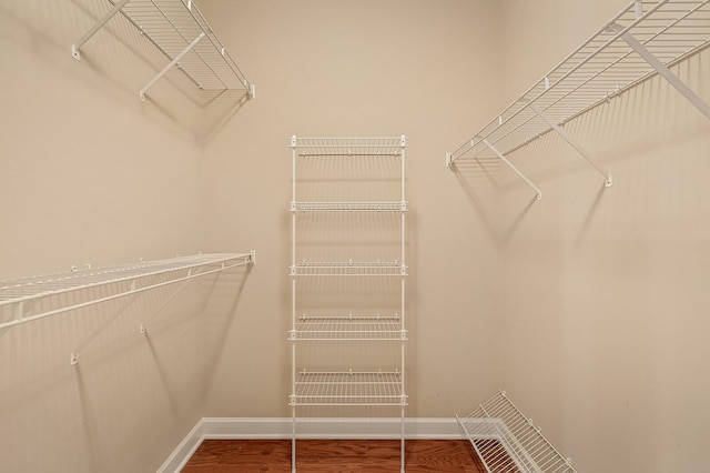 spacious closet with hardwood / wood-style floors