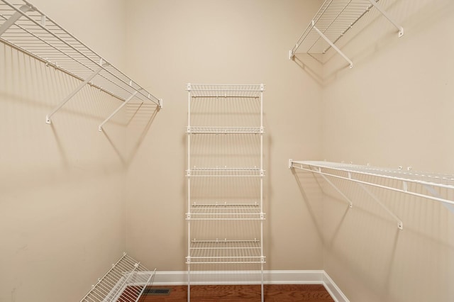 spacious closet with wood-type flooring