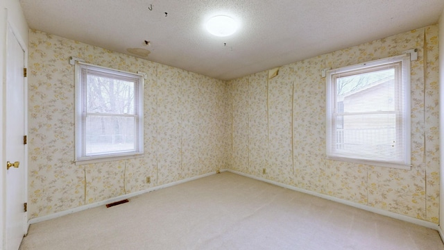 carpeted spare room with a textured ceiling and a healthy amount of sunlight