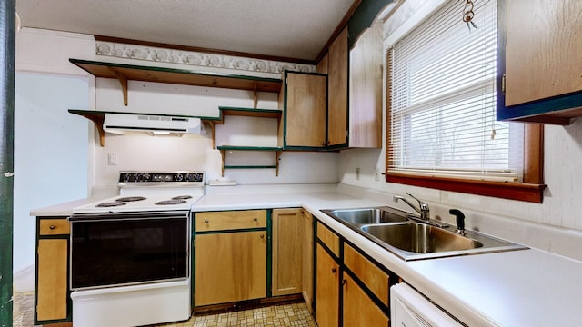 kitchen featuring ornamental molding, sink, a textured ceiling, and white appliances