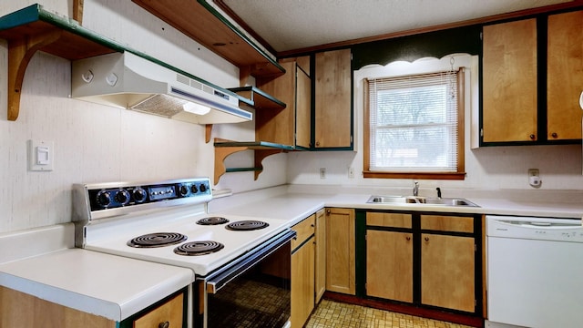 kitchen with white dishwasher, sink, and electric stove