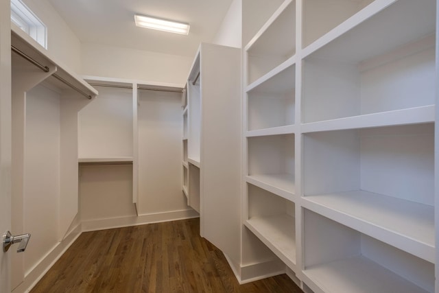 spacious closet featuring dark hardwood / wood-style flooring