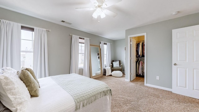 carpeted bedroom with multiple windows, a walk in closet, a closet, and ceiling fan