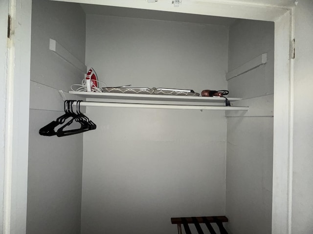 view of closet