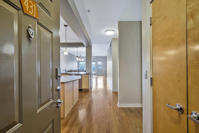 corridor with wood-type flooring and sink