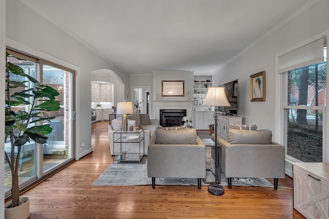 living room with crown molding, wood-type flooring, and built in features