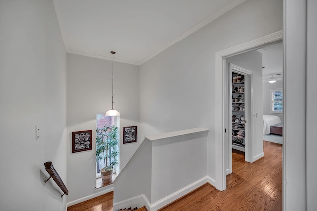 corridor with wood-type flooring and ornamental molding