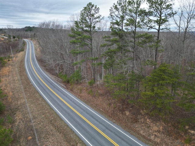 Listing photo 2 for 0 Hohenwald Hwy, Waynesboro TN 38485